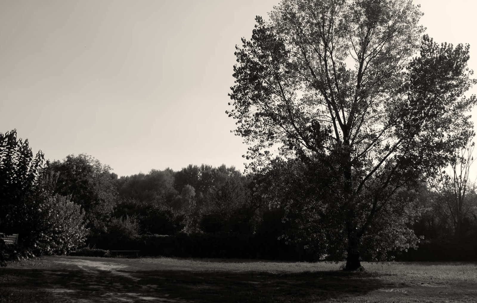 Small green space near my house